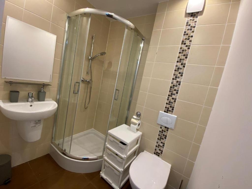 גדינייה Totu Home Villa Orlowska מראה חיצוני תמונה