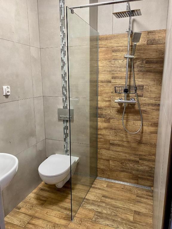 גדינייה Totu Home Villa Orlowska מראה חיצוני תמונה
