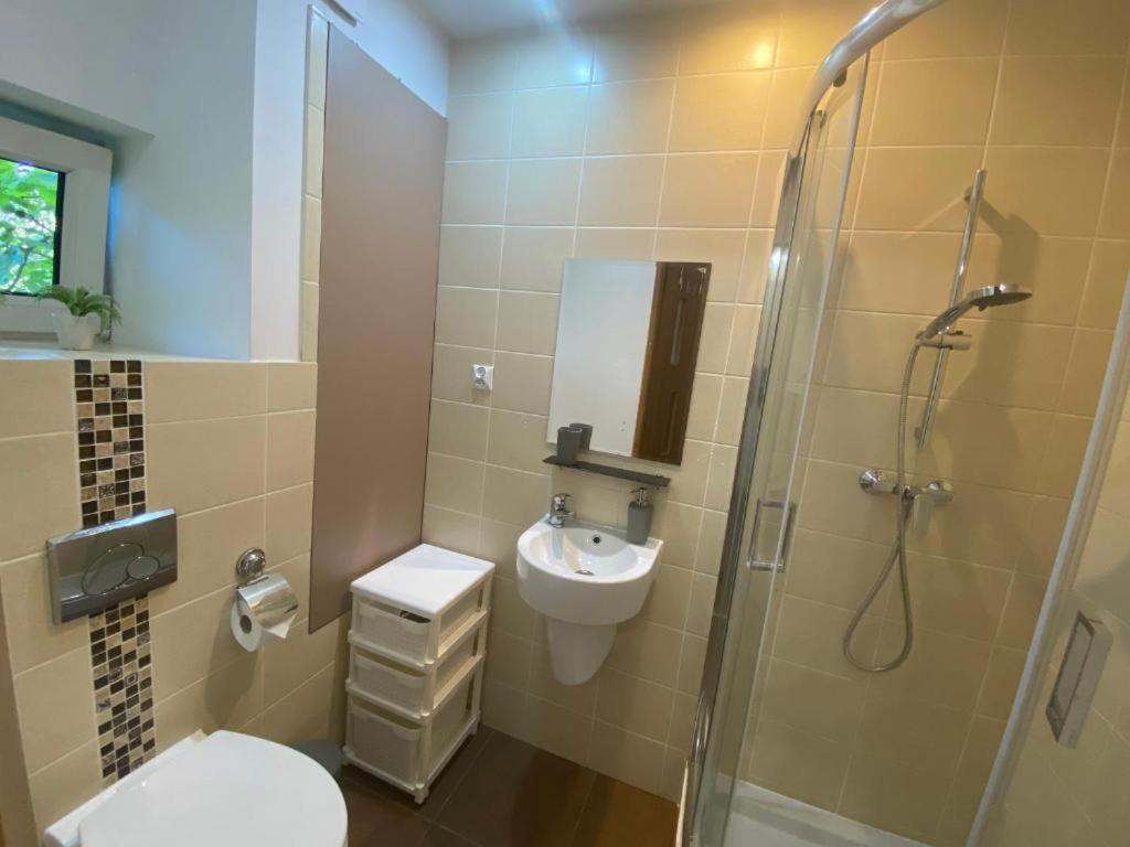 גדינייה Totu Home Villa Orlowska מראה חיצוני תמונה